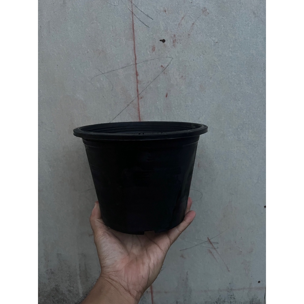 มุมมอง 5