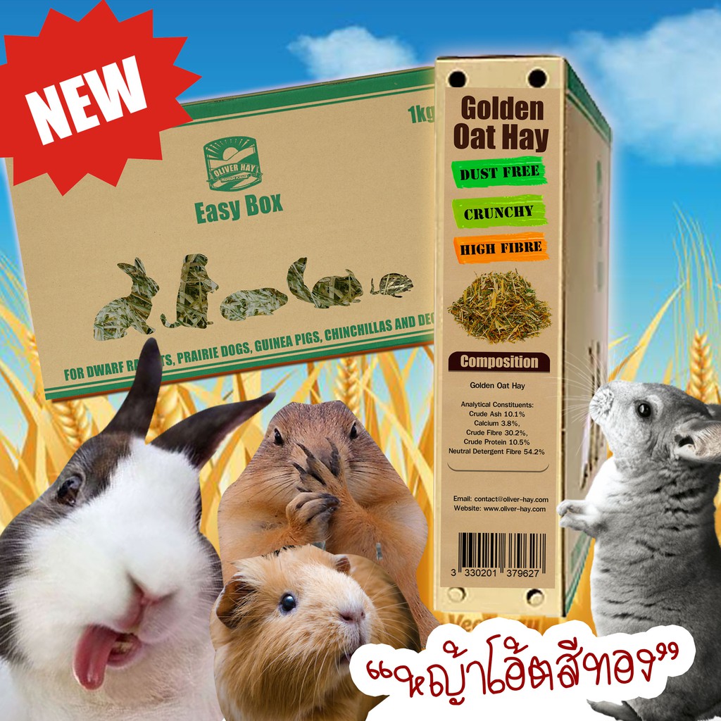 หญ้าโอ๊ต สีทอง (เกรดนำเข้า) Golden Oat Hay  หญ้ากระต่าย แพรี่ด็อก แกสบี้ ชินชิล่า เต่า เดกู  1kg.