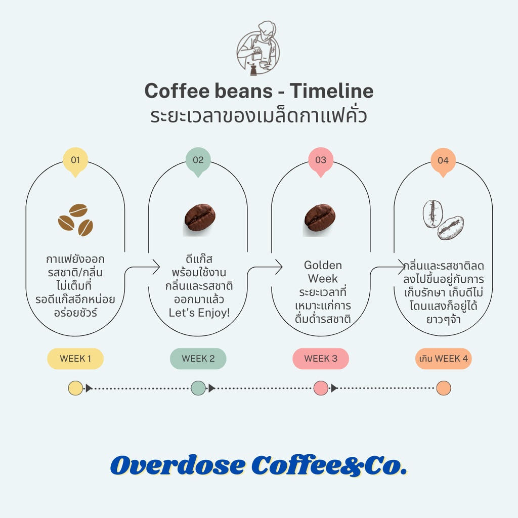 Overdose CoffeeCo. เคนย่า KENYA เมล็ดกาแฟคั่วอ่อน คุณภาพ - overdose ...