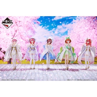 Ichibankuji - The Quintessential Bride Kimono wedding- เจ้าสาวผมเป็นแฝดห้า (ครบชุด)(ของแท้)(มือ1)(Lot Japan)