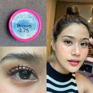 (1)(2) Falling Brown mini มินิ สีน้ำตาล ตาล Kitty Kawaii ค่าอมน้ำสูง Contact Lens Bigeyes คอนแทคเลนส์ ค่าสายตา สายตาสั้น