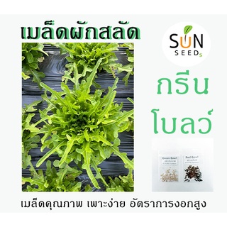 เมล็ดสลัดกรีนโบลว์ (Green Bowl) 10 บาท 100-120 เมล็ด เพาะง่าย อัตราการงอกสูง (ผัก เมล็ดผัก เมล็ดพันธุ์ สลัด ผักสลัด )