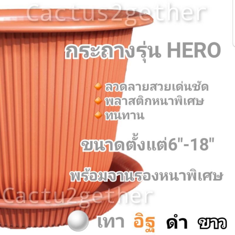 ถูกและหนา‼️กระถางรุ่นHero พลาสติกหนาพิเศษ มีจานรอง ขนาด12