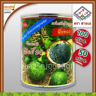 เมล็ดพันธุ์ฟักทอง ฟักทองอ่อน พริตตี้ 24 3A F1 (50, 100 กรัม) เมล็ดฟักทองอ่อนลูกผสม เมล็ดพันธุ์ผักสวนครัว ตราสามเอ