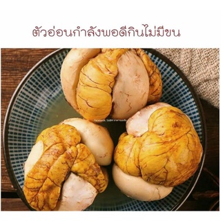 ไข่ตัวอ่อนไข่ไก่ตัวอ่อนแบบสุกพร้อมรับประทานไข่ตัวไข่ลูกไก่ใครลูกไข่ข้าวไข่ลูกเสฉวนไข่ทรงเครื่องเสฉวนไข่ไก่แบบตัวอ่อน