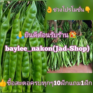 📢​พร้อม​ส่ง, สะตอ คัดฝักส่วย​ๆ คัดมาโดยเฉพาะ✌️