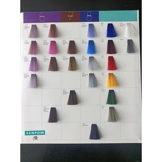 ครีมย้อมผม SENPOM เม็ดสีแน่น ย้อมออกมาสีไม่เพี้ยนย้อมสีไหนได้สีนั้น ราคาส่ง ขนาด 100 ml