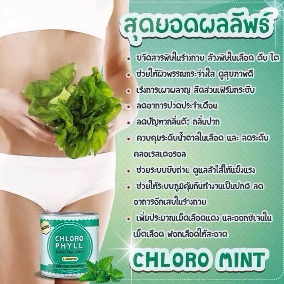 Chloro Mint คลอโรมิ้นต์ ผลิตภัณฑ์เสริมอาหารคลอโรฟิลล์ ล้างสารพิษในร่าย ...