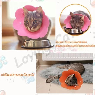 🐱 ปลอกคอกันเลีย คอลล่าแมว ปลอกคอป้องกันรอยขีดข่วนและป้องกันการเลีย ปลอกคอสัตว์เลี้ยง