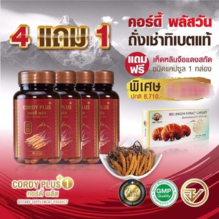 ขายเป็น เซต คอร์ดี้ พลัส cordy plus 1 ถั่งเช่าทิเบตเข้มข้น