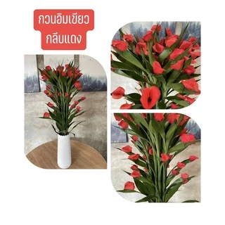 ไผ่กวนอิมแต่งกลีบดอก ไผ่กวนอิมเขียว ไผ่กวนอิม