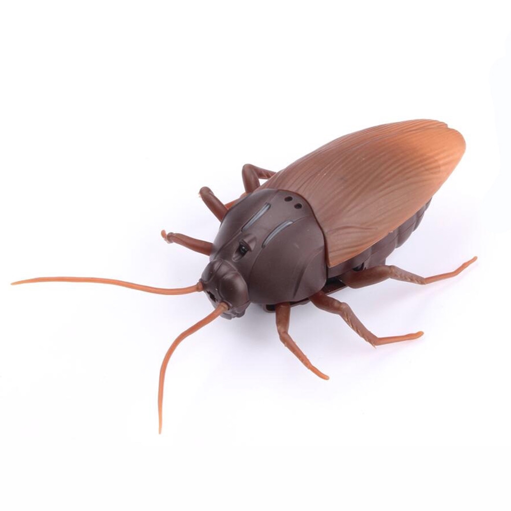 Remote Control Electric Cockroach Insect Bug Car Vehicle Roach Animal ...