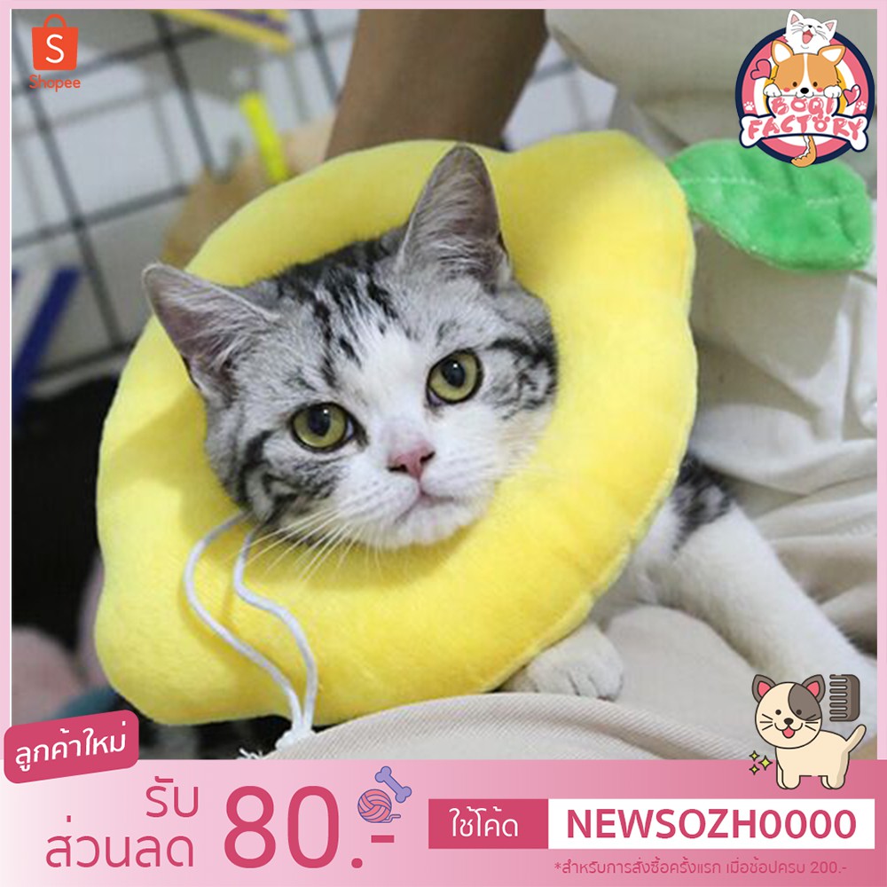 Boqi Factory  ปลอกคอกันเลีย คอลล่ากันเลีย ปลอกคอแมวน่ารัก รูปผลไม้ สำหรับสุนัขและแมว Fruit Collor