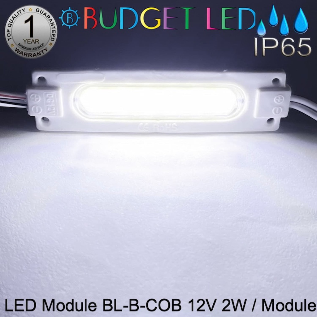 LED Module BL-B-COB DC-12V 2W/Module 40W/Panel แอลอีดีโมดูลกันน้ำ IP65 สำหรับป้ายไลท์บ็อกและป้ายโฆษณา ราคาต่อ 1 ชิ้น - รูปที่ 5