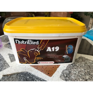 (มีของพร้อมส่ง) Nutribird อาหารนกลูกป้อนสูตรไขมันสูง Nutribird A19 (Bird) 3 kg