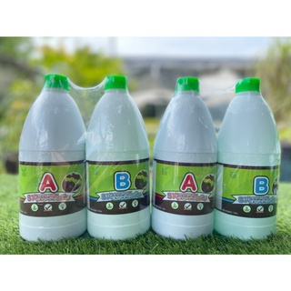 ชุดคู่ปุ๋ยไฮโดรโปนิกส์ ปุ๋ยน้ำ ปุ๋ยAB HydroHobby AB1000 cc ได้2ชุด