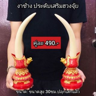 งาช้างประดับเสริมฮวงจุ้ย ขนาดสูง 30 ซ.ม