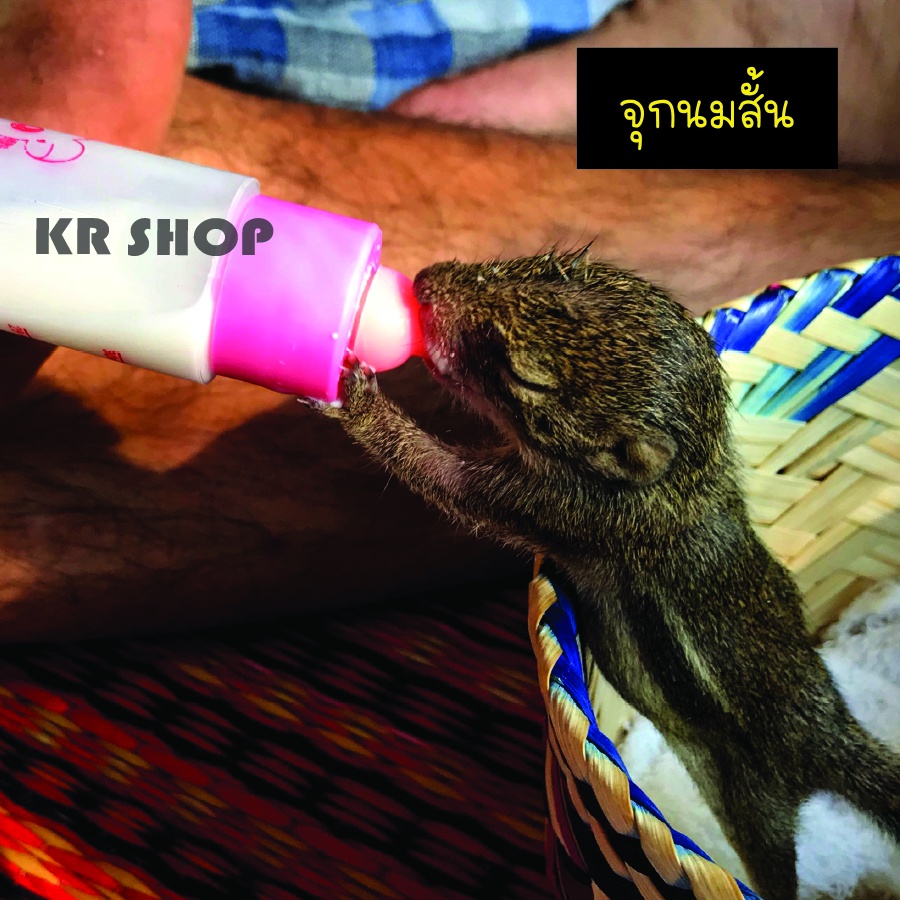 นมสัตว์แรกเกิดพร้อมขวดนมขนาด30ml. สำหรับป้อนลูกหนู กระรอก แมว กระต่าย สุนัข แรกเกิดหรือสัตว์เลี้ยงขนาดเล็ก - รูปที่ 4