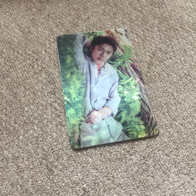 การ์ดเนเจอร์3มิติ SEHUN