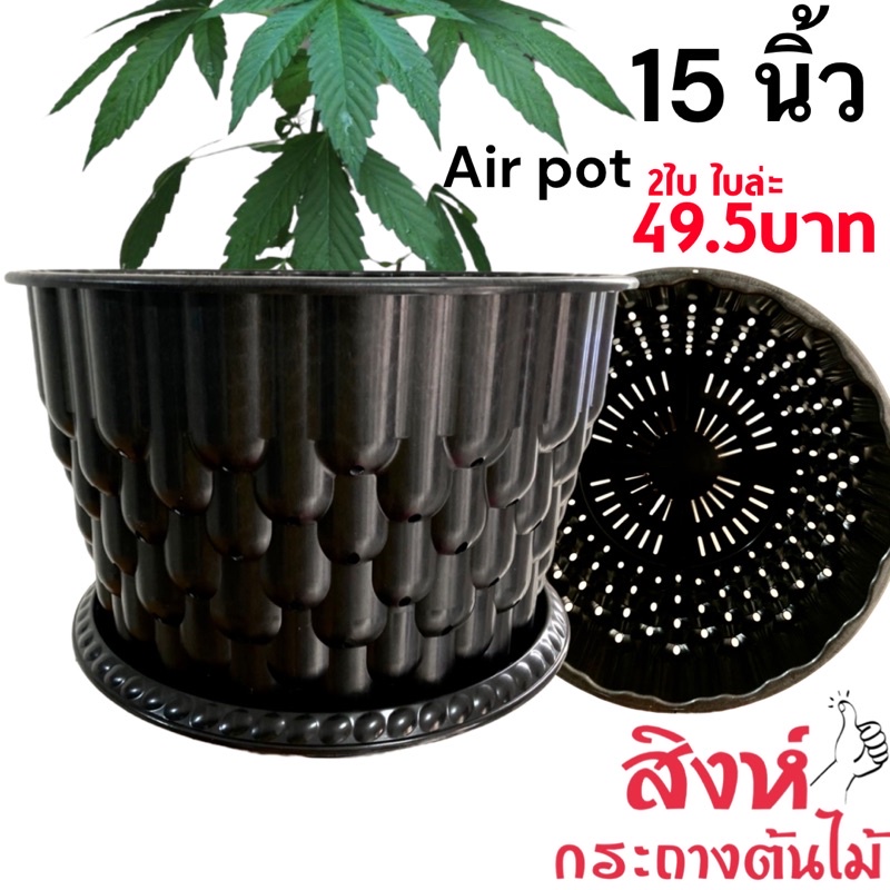 กระถางเร่งราก 15 นิ้ว air pot 15 นิ้ว