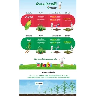 คาลารีส ยาฆ่าหญ้าในไร่ข้าวโพด 1L