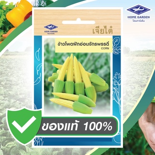 เมล็ดพันธุ์พื้นบ้าน ตราเจียไต๋โฮมการ์เด้น ข้าวโพดฝักอ่อน จักรพรรดิ์ซ. 10 กรัม