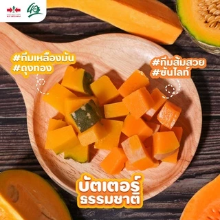 GGEW เมล็ดพันธุ์ซฟ ฟักทองบัตเตอร์นัทถุงทอง 10 เมล็ด ตราศรแดง Butternut