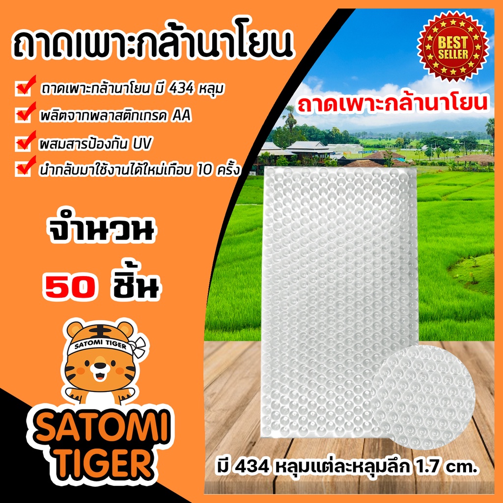 ถาดเพาะกล้านาโยน 434 หลุม  จำนวน 50 ชิ้น ถาดกล้านาโยน