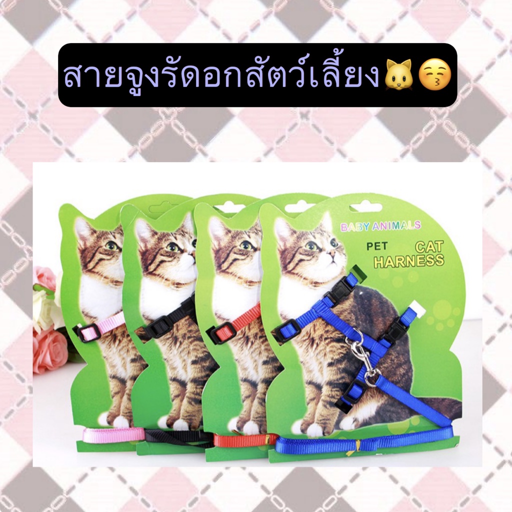 AL-264 สายจูงสัตว์เลี้ยง เชือกจูงสุนัข แมว หมา ของใช้สัตว์เลี้ยง คุณภาพดี ราคาถูก พร้อมส่ง🧡👏🏻