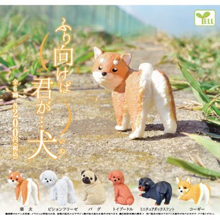 ✿ พร้อมส่งยกชุด ✿ กาชาปองน้องหมาหันหลังมอง gashapon