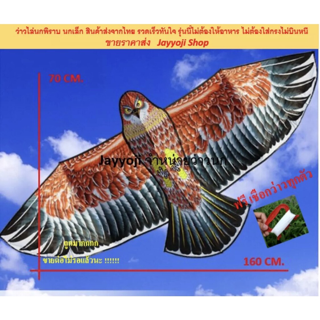 My Image 70