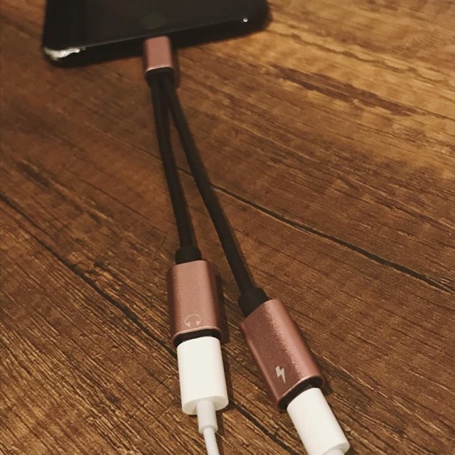 Adapter 2in1 for audio and charger