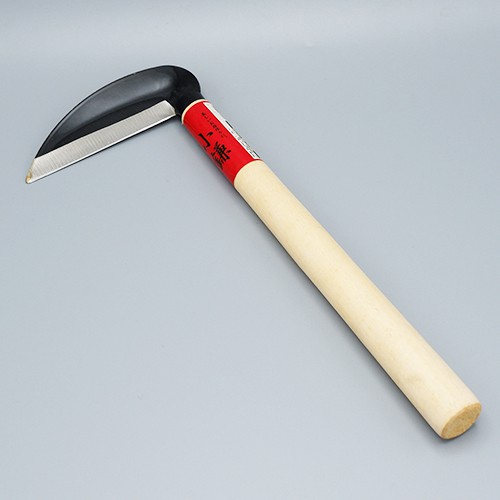 My Image 3