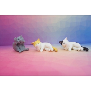 น้องเหมียวแต่งตัว Cat grooming gashapon