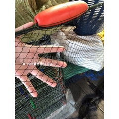 อวนลาก จับปลา กุ้ง ในบ่อเลี้ยง 🅰️ สำเร็จพร้อมใช้ลากจับปลา จับกุ้ง #อวนลาก พร้อมเชือก ทุ่นลอยใหญ่ ตัวถ่วงล่าง