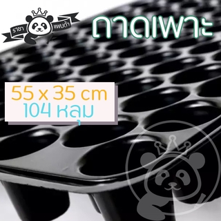 ถาดเพาะ ถาดเพาะกล้า ถาดเพาะเมล็ด ถาดเพาะชำ 104หลุม