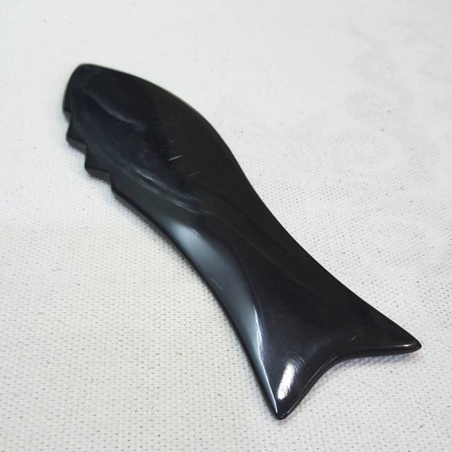 กัวซาปลา จามรี #guasa #กัวซาปลา