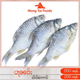 ပႃၼဝ်ႈ ငါးပိကောင် ปลาเน่า ปลาเค็ม Salty Fish ปลาเค็มหมักเกลือ อาหารแห้งต่างๆ ของกินพม่า อาหารไทยใหญ่ อาหารพม่า ของกิน