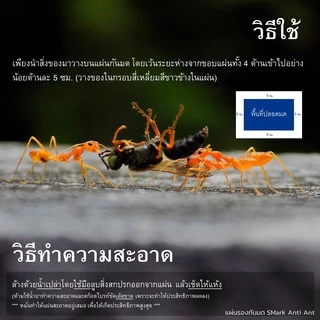 แผ่นกันมด PUPPE / Passie Pet ปลอดภัยต่อมนุษย์และสัตว์เลี้ยงลูกด้วยนม เห็นผลภายใน 1-10 วัน 🐜