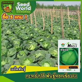 5แถม1เมล็ดพันธุ์กะหล่ำปลีเขียวหยกF1250เมล็ด  ปลูกง่ายรสชาติหวานกรอบ ปลูกได้ทุกฤดูห่อหัวแน่น เป็นที่ต้องการของตลาด