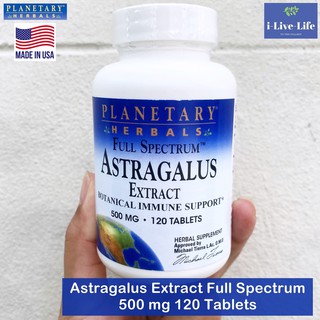 อึ้งคี้ Astragalus Extract Full Spectrum 500 mg 120 Tablets - Planetary Herbals