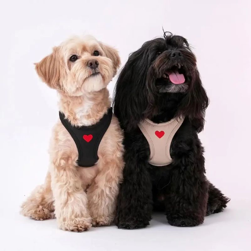 Puppy Gallery Weather proof harness เสื้อรัดอกสุนัขและแมว รุ่นใหม่ สะท้อนน้ำ บางเบา ระบายอากาศได้ดี ฮาเนสสุนัข ลายหัวใจ