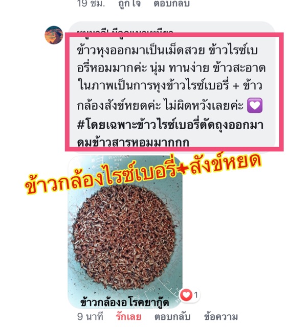 *ค่าส่งถูกที่สุด*ข้าวสังข์หยด  1 กก.(ข้าวใหม่ ปลอดสาร)นุ่มมาก รูปที่ 3