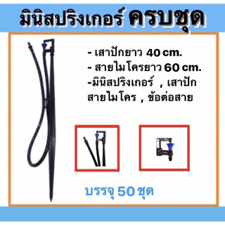 มินิสปริงเกอร์ ชุด ขาปักมินิสปริงเกอร์  รุ่นไชโย พร้อมขาปัก + สายไมโครสูง 40 cm. สายยาว 60 cm. ( ครบชุด )(50ชุด)