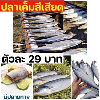 ปลาเค็มสีเสียด ตัวละ 29 บาท