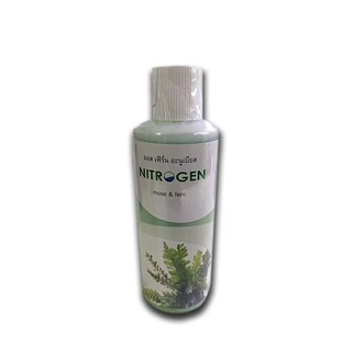CYPERUS HELFERI - (แห้วหมูน้ำ) ไม้หลังตู้ เลี้ยงง่าย ต้นไม้น้ำตา ต้นไม้พร้อมปลูก ***กรุณาอ่านรายละเอียดก่อนสั่งซื้อ***