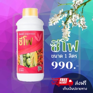 ซีโฟ 1 ลิตร ปุ๋ยน้ำ ปุ๋ยน้ำซีโฟ เร่งผลดกโตไวอย่างมีคุณภาพรสชาติอร่อย