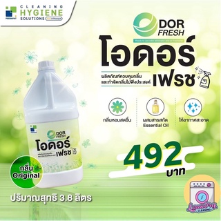 โอดอร์เฟรช / ODOR FRESH 🌸 น้ำยาฉีดดับกลิ่น(กลิ่นดอกปีบ)ใช้ได้ทุกพื้นที่ ขนาด 3.8 ลิตร