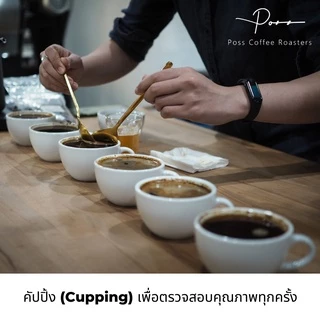 Poss Coffee Roasters เมล็ดกาแฟคั่ว กลาง เข้ม ลาว โบโลเวน อาราบิก้า 100% ขนาด 1kg บดฟรี ราคาส่ง