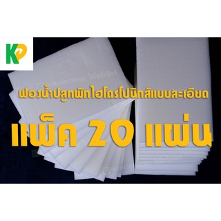 ฟองน้ำเพาะเมล็ด ชุด 20 แผ่น [ไร้ขอบ] แบบละเอียด ปลูกผักไฮโดรโปนิกส์ ผักสลัด | KP การเกษตร